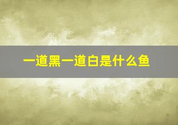 一道黑一道白是什么鱼