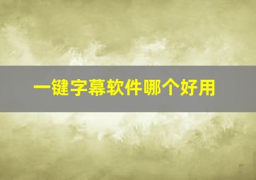 一键字幕软件哪个好用