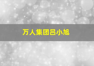 万人集团吕小旭