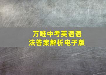 万唯中考英语语法答案解析电子版