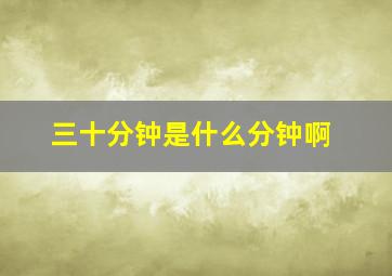 三十分钟是什么分钟啊