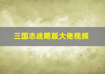 三国志战略版大佬视频