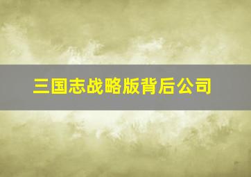 三国志战略版背后公司