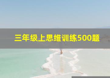 三年级上思维训练500题