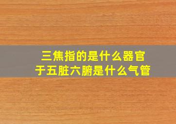 三焦指的是什么器官于五脏六腑是什么气管