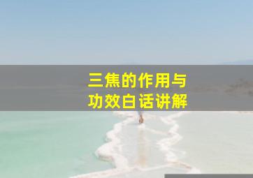 三焦的作用与功效白话讲解