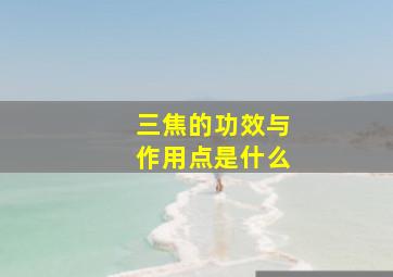 三焦的功效与作用点是什么