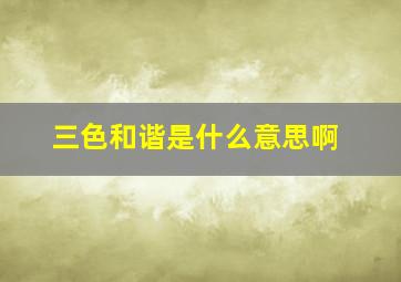 三色和谐是什么意思啊