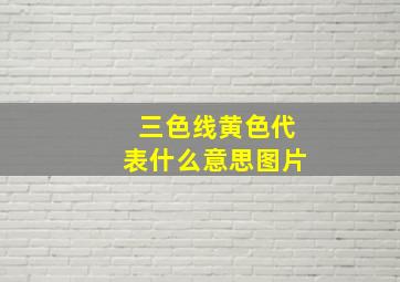 三色线黄色代表什么意思图片