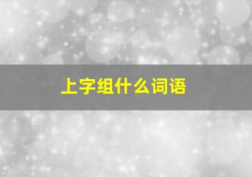 上字组什么词语