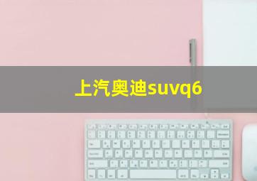 上汽奥迪suvq6