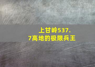 上甘岭537.7高地的极限兵王