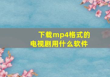 下载mp4格式的电视剧用什么软件