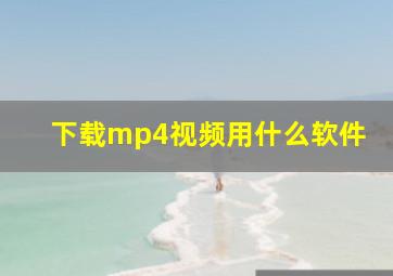 下载mp4视频用什么软件