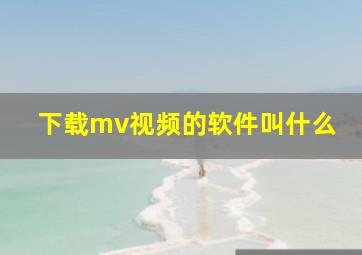 下载mv视频的软件叫什么