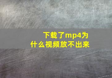 下载了mp4为什么视频放不出来