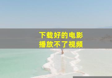 下载好的电影播放不了视频