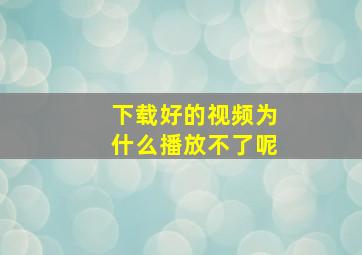 下载好的视频为什么播放不了呢