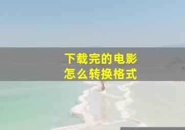 下载完的电影怎么转换格式