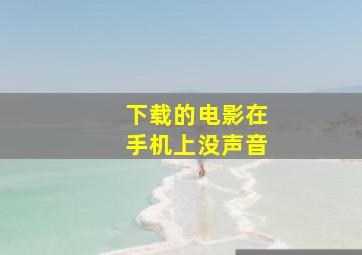 下载的电影在手机上没声音