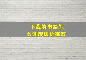 下载的电影怎么调成国语播放