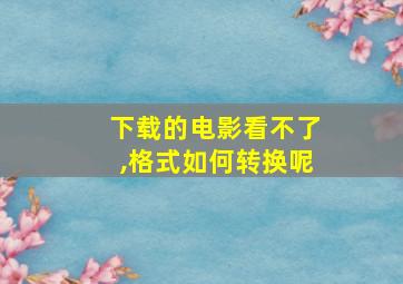 下载的电影看不了,格式如何转换呢