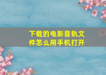 下载的电影音轨文件怎么用手机打开