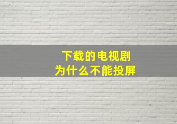 下载的电视剧为什么不能投屏