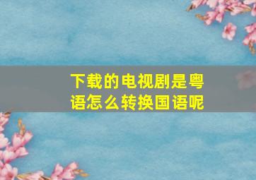 下载的电视剧是粤语怎么转换国语呢