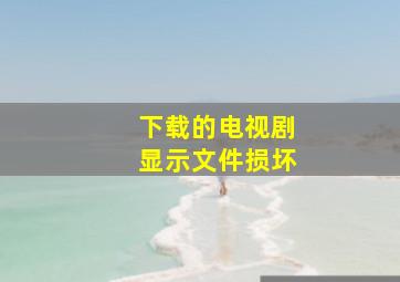 下载的电视剧显示文件损坏