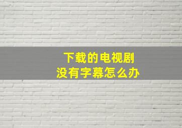 下载的电视剧没有字幕怎么办