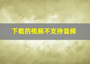 下载的视频不支持音频