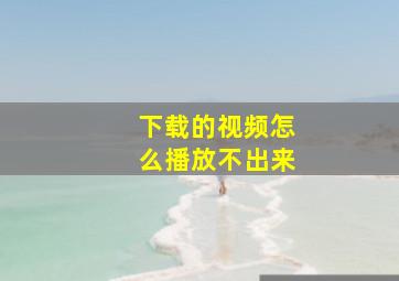 下载的视频怎么播放不出来