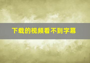 下载的视频看不到字幕