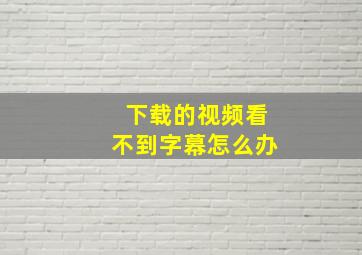 下载的视频看不到字幕怎么办