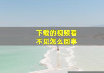 下载的视频看不见怎么回事