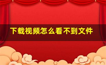 下载视频怎么看不到文件