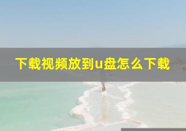 下载视频放到u盘怎么下载