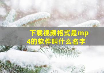 下载视频格式是mp4的软件叫什么名字