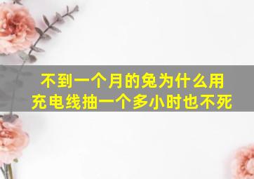 不到一个月的兔为什么用充电线抽一个多小时也不死