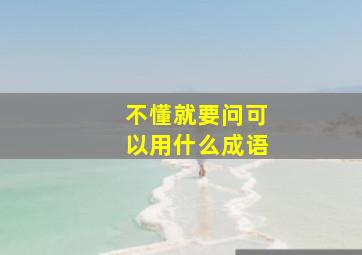 不懂就要问可以用什么成语