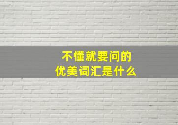 不懂就要问的优美词汇是什么