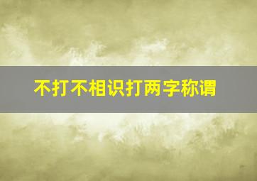 不打不相识打两字称谓