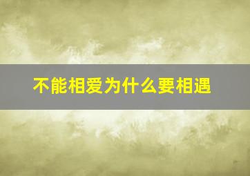 不能相爱为什么要相遇