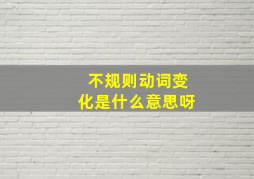 不规则动词变化是什么意思呀