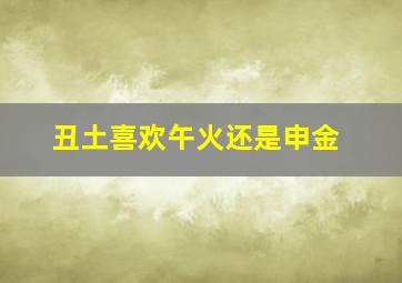 丑土喜欢午火还是申金