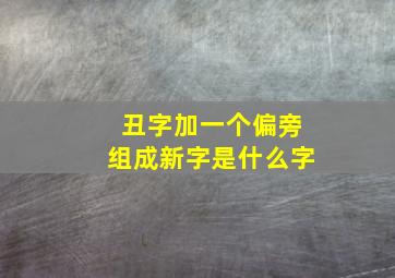 丑字加一个偏旁组成新字是什么字