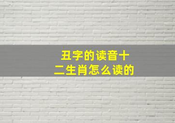 丑字的读音十二生肖怎么读的