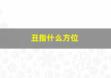 丑指什么方位