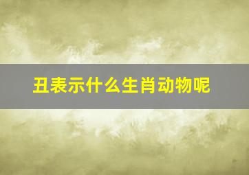 丑表示什么生肖动物呢